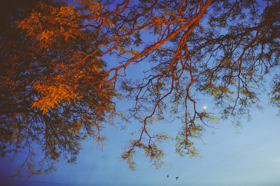 casamiento-boda-puerto-madero-buenos-aires-21